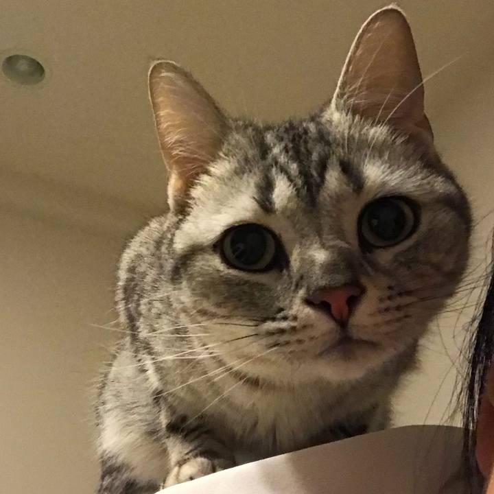 D164c29b 7841 4e3a b653 5091cd02df1a 1523538001791