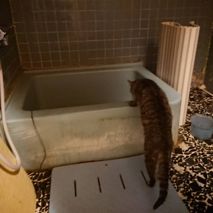 D164c583 dc5c 41a7 a20e 96594e2d1800 1574758688159