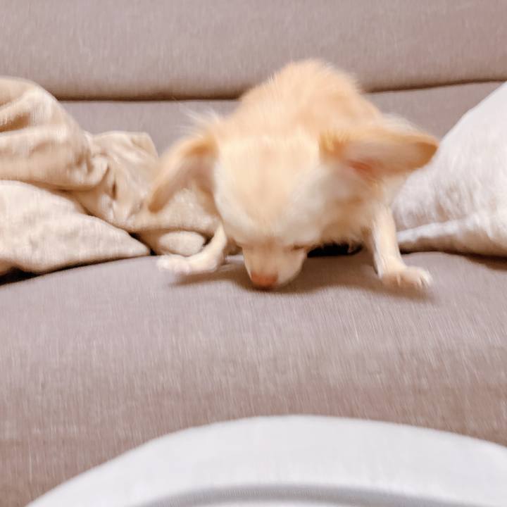 D1651355 b475 4e10 b839 d9a15fa5befa 1663150129616