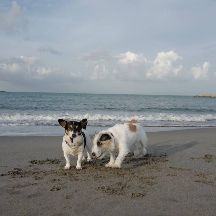 D16518ce 7486 46f5 961b 00734d9c6773 1604320593322