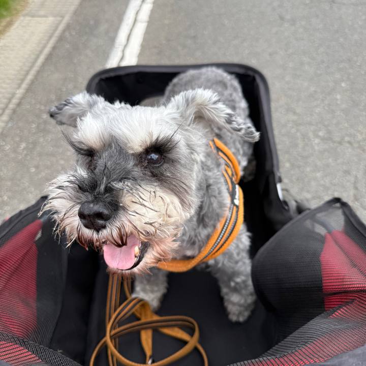 D1652d9e 07fb 4308 a8e9 0326b672405e 1760871795440