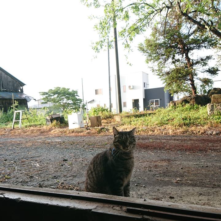 D16536ab 22ad 468d 9c8b 0d31e8dfe4ad 1658093575892