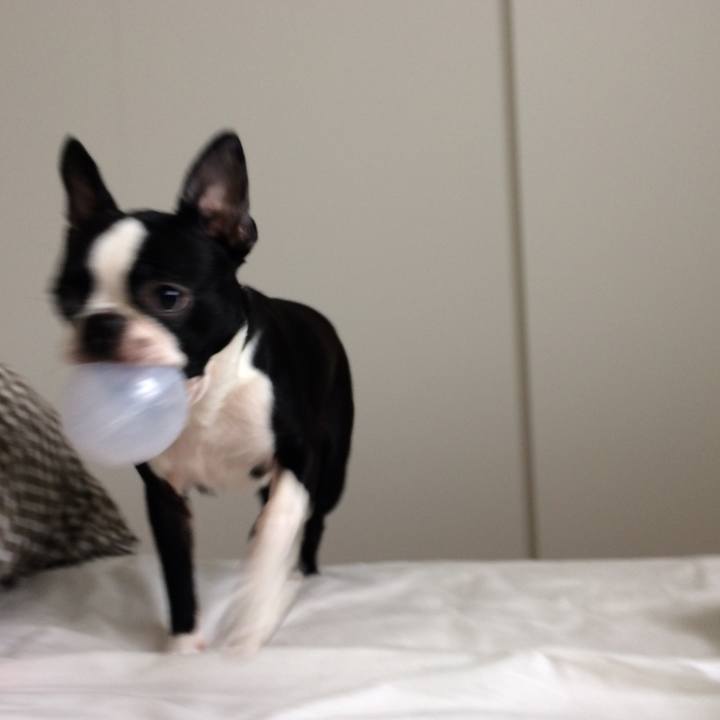 D1659212 6e32 42d3 aade 6459ad0a1eb4 1508415610544