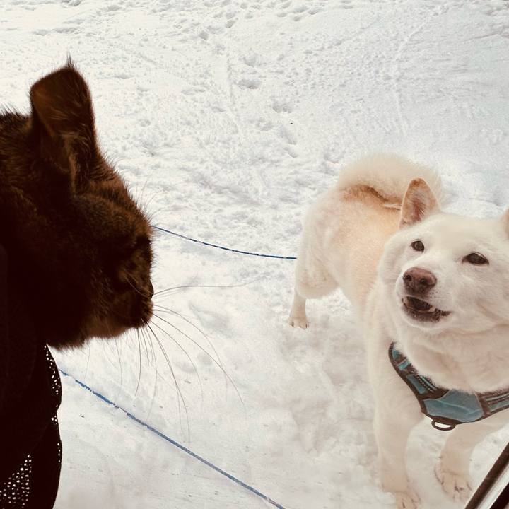 D16592bb 29f0 44cf 9118 ff8fe1d55101 1734221707358