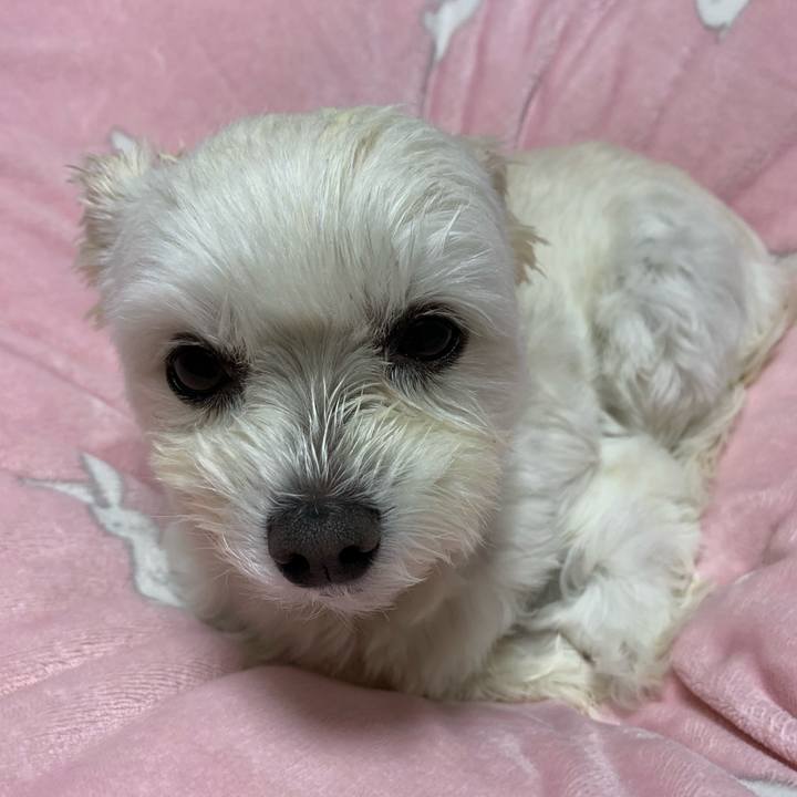 D1659866 784d 431f a285 a59ed093db1b 1611318989401