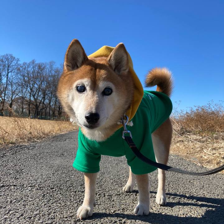 D165d25b 5f7b 409a a25b 9cc70e60e326 1704773211561