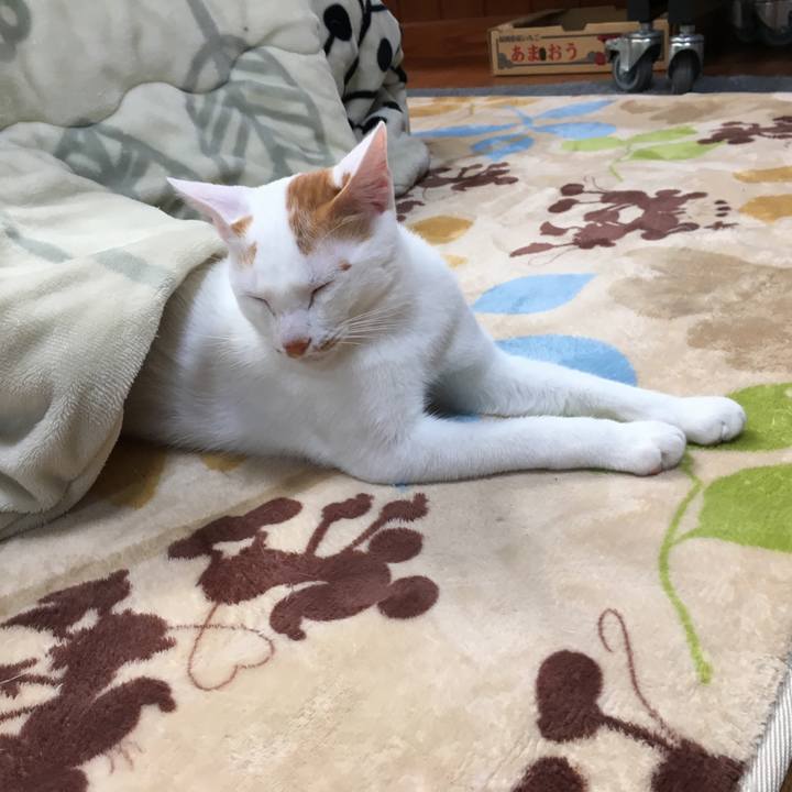 D165f2aa 1ddc 47f3 b255 a7f0a76d0dac 1513851010005