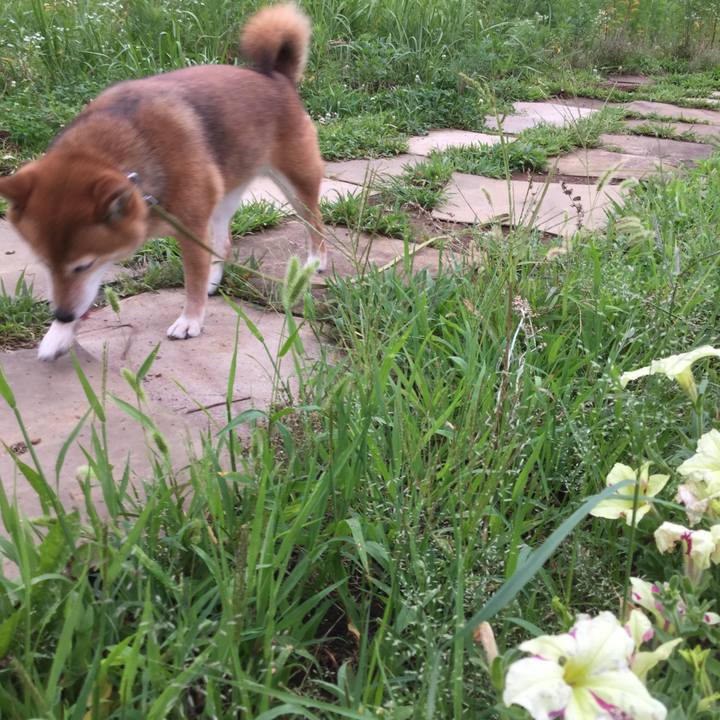 D1661c5a 0333 4837 9e67 bad9c30695df 1563617944325