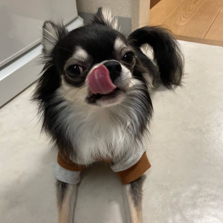 D16632a0 d82d 4cbf 82fa 413517caa6a0 1611443753412