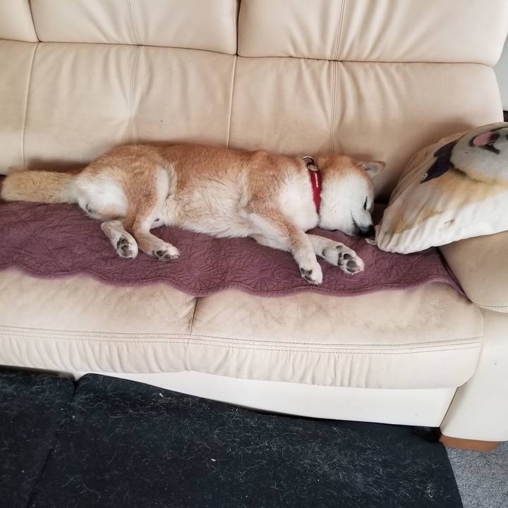 D1665662 7963 46f3 a090 0a78f3c8d072 1748217339325