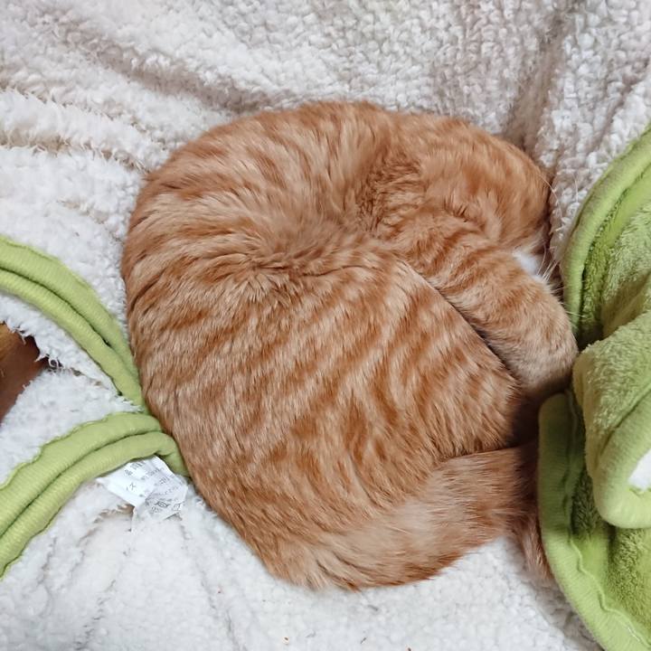 D1665a87 8e01 41a2 bcd8 d9ac594aa227 1640929118353