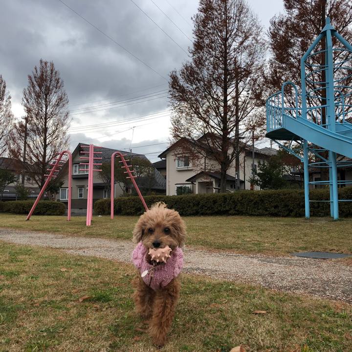 D16676c0 9ede 4a01 87cd 17609b608104 1575255451964