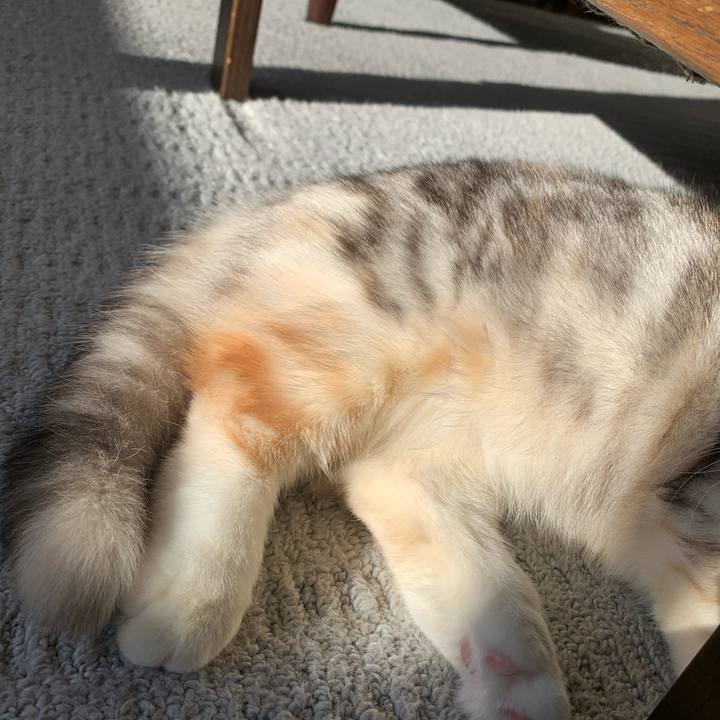 D166c6da 4b2b 482c 8de2 8df3ada794fb 1708212593742