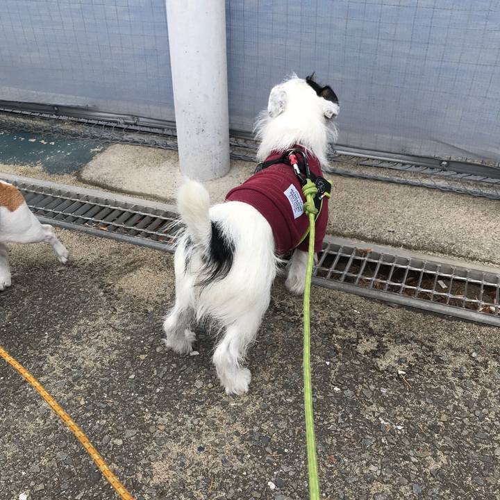 D166c778 efbb 46ef bddc 64461ced00c4 1540613829926