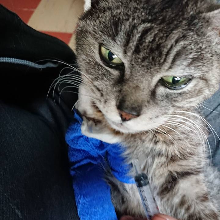 D166d78b f381 4eac be85 29f7080c9913 1586987614395