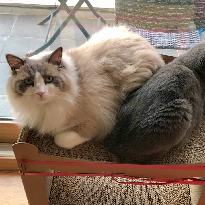 D166eb33 4ab6 41ad a9c9 43233647b1c7 1622195154740