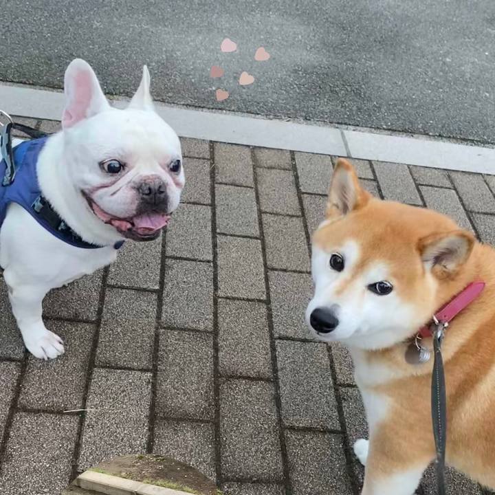 D166f819 d7fb 466d 95ed bf2610a89ccd 1631029122881