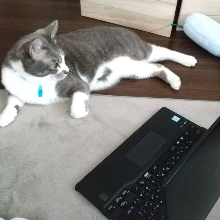 D16713b1 7821 47a9 b8a9 62dbad83184e 1618454938560