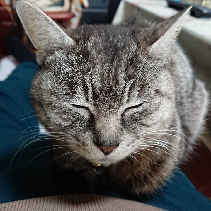 D167161a f63f 496a 9a97 4c9c94098288 1552805836766