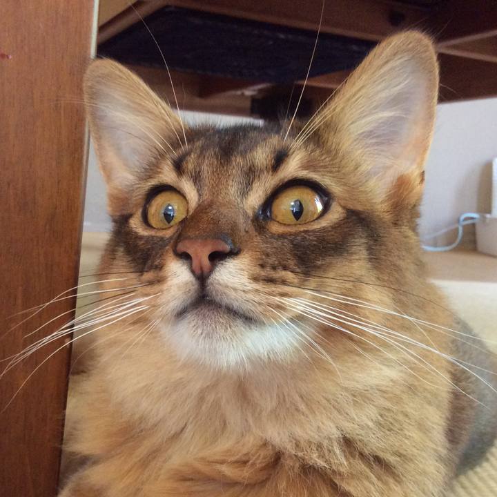 D16728ac 301d 4148 ae82 1bfb353df6a0 1590889846271