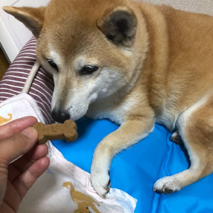 D16749b5 bb45 48e9 b463 581011947aaf 1591086248004