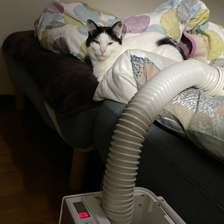 D167968e 9a12 4790 afb4 83dd1b173ab4 1676979486818