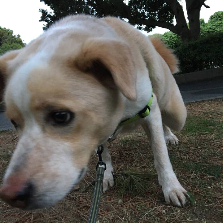 D167a7a3 1505 4dc1 b8ca c7b319175a40 1527685586506