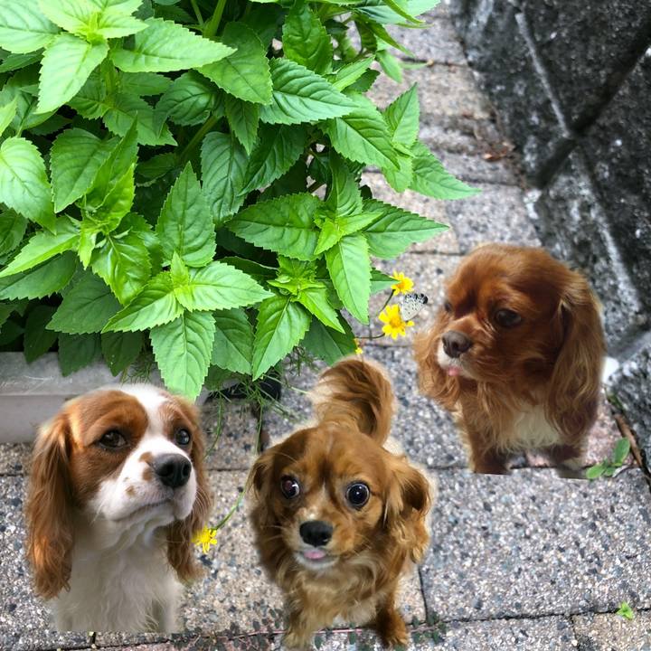 D167d009 d20f 4f94 81ef d8a6397a6845 1536926718048