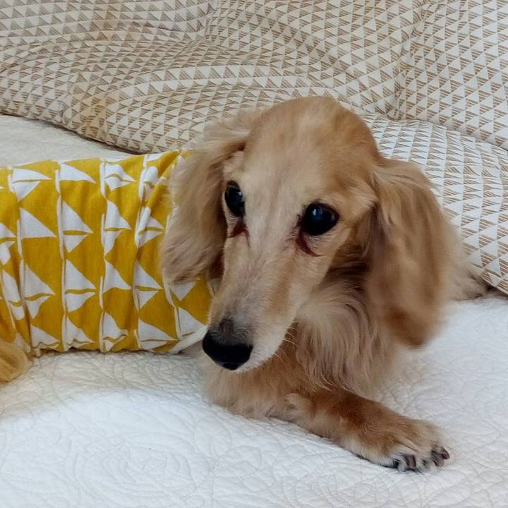 D16801f9 8c0d 41c5 8e70 84b1736247ff 1559573771882