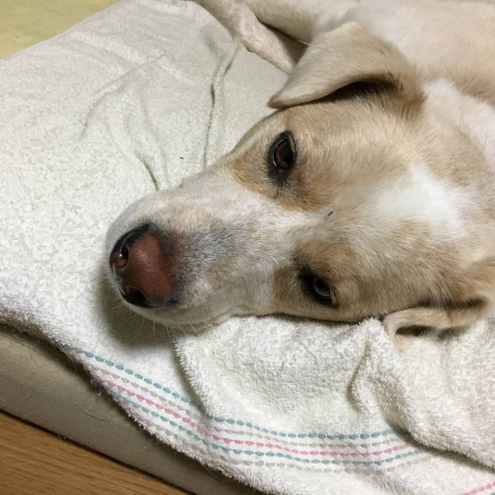 D16844eb bdc2 4540 9532 4ca2f7fa0031 1541591541780