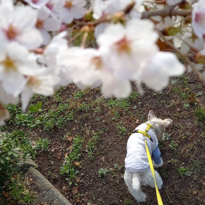 D168bd14 fec5 4eee a9fe 8c4aa2a35d6e 1648597348307