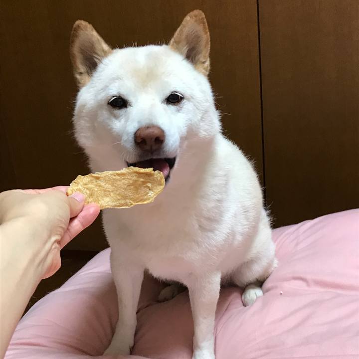 D168c20a 8f2d 4031 86a3 0aec9b54f984 1634702338868