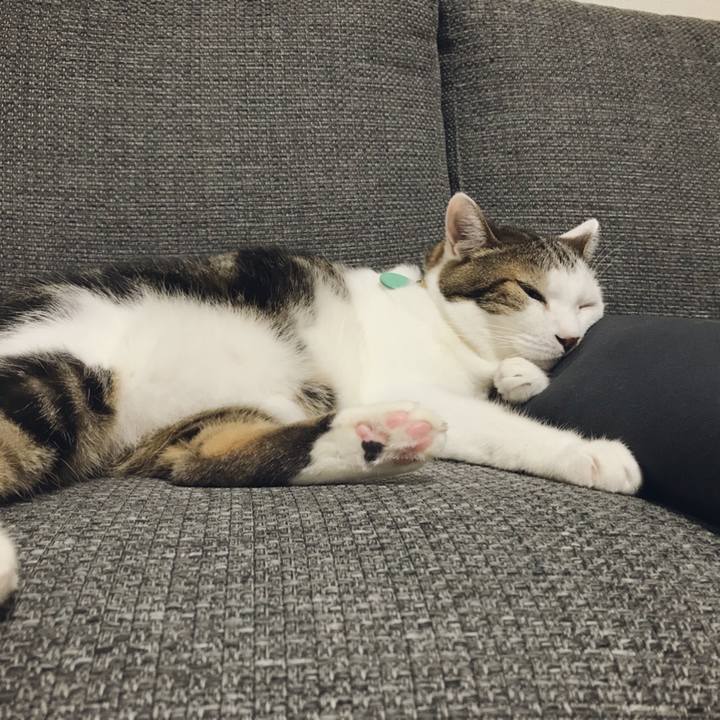 D168f459 5ed4 4a3f 9078 41fc352a9739 1538109266355