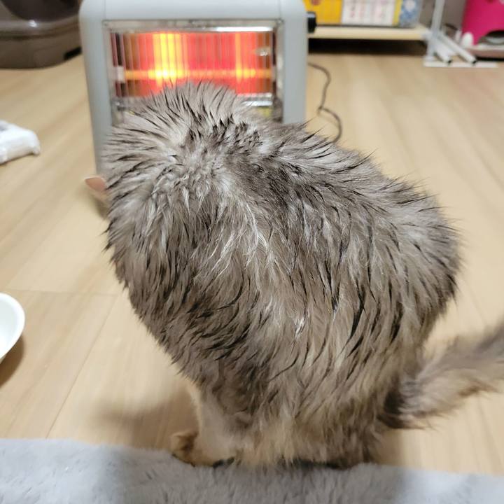 D168f670 1588 4d30 8fba 6fb8a969fb27 1644668690629