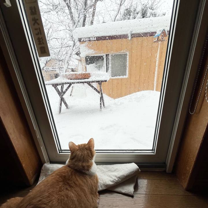 D1690e81 91bd 4328 9216 c7fa16ae60fe 1765757480681