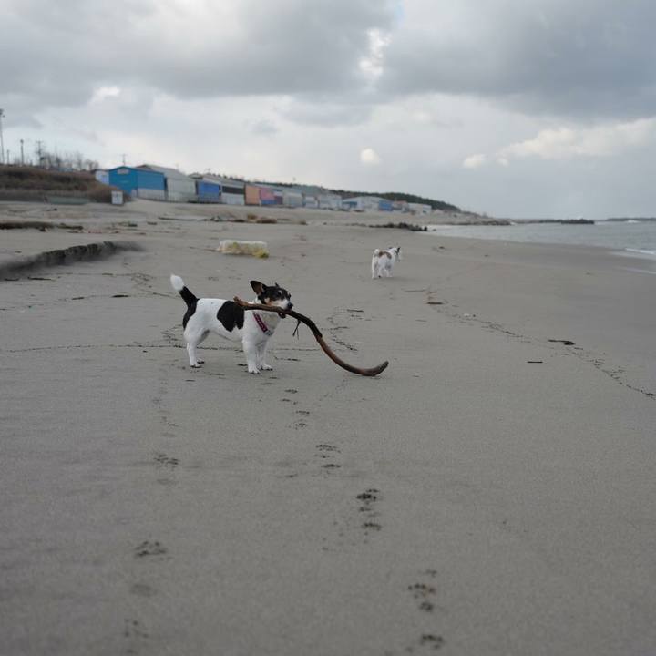 D1693ddd 1e52 4e4c b062 b7adc3323024 1514867804159