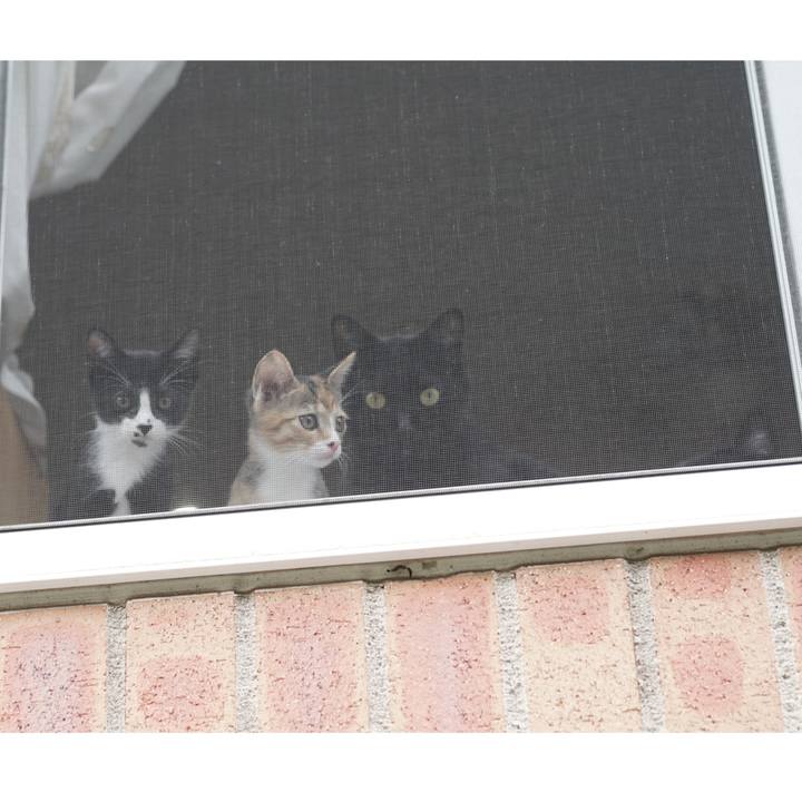 D16946d1 4d7b 4aa8 a8dd edb275b30a50 1568331641248