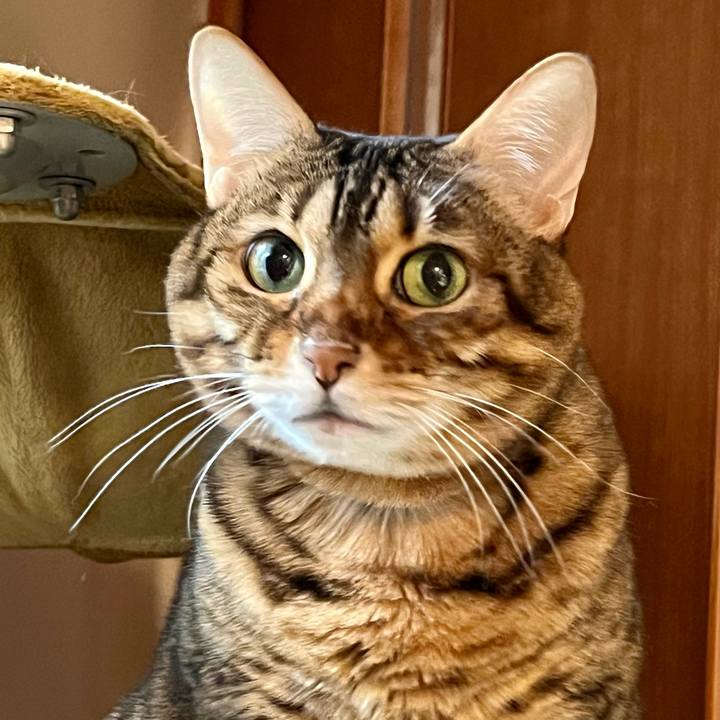 D169970a 4938 41ab 994d 9b09f8bb97e0 1675999071950