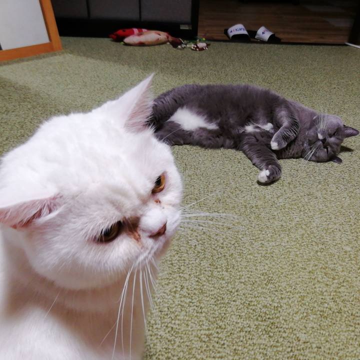 D169b06a 5798 4a2d baec 02e2d65f76a2 1693995986267