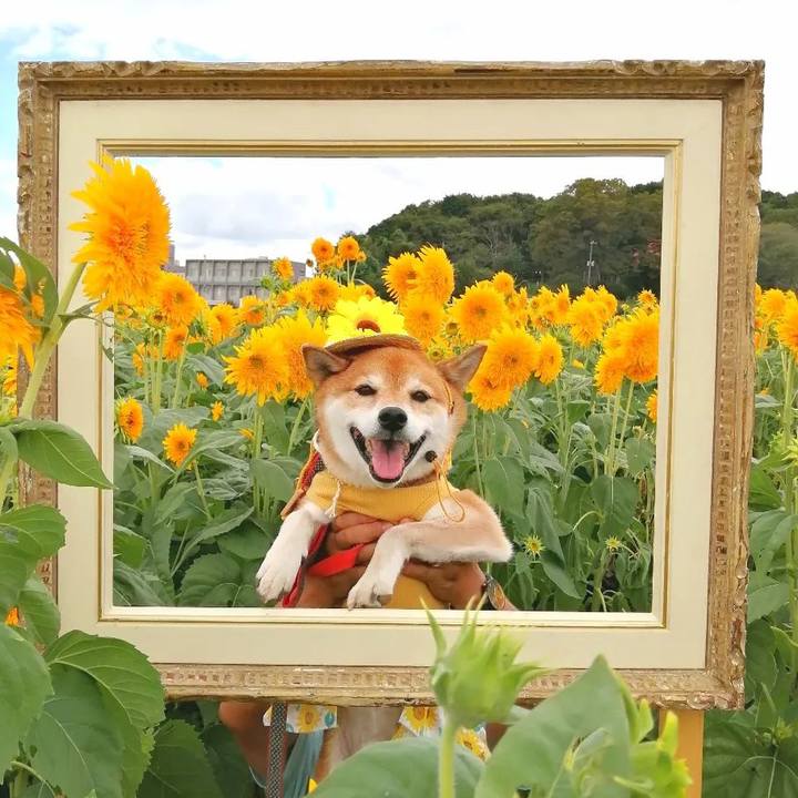 D16a06c3 993d 4fb0 9aa1 588a5a086c40 1693117476348