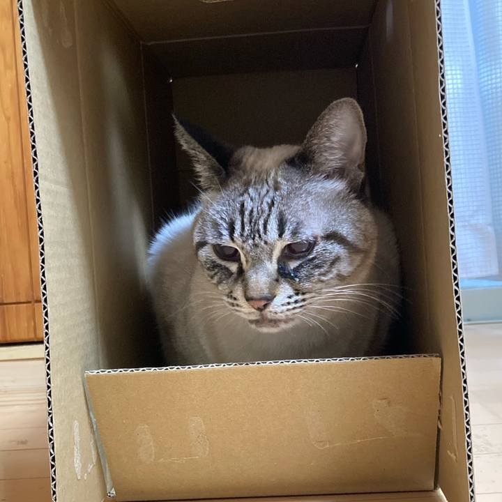 D16a155e 6e1b 435b 9848 ebc606375d15 1771040301997