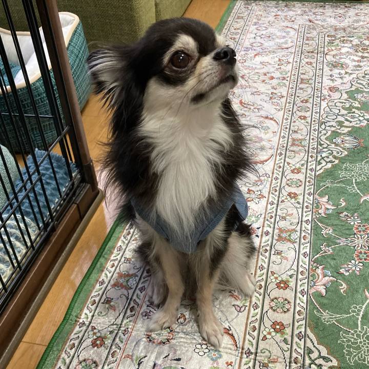 D16a2085 746b 40af 8d39 818c585201a1 1665240490908