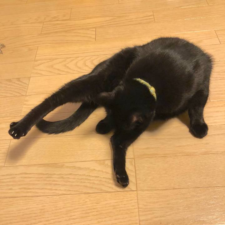 D16a39f9 20e4 4d53 8032 656bd6ca38d3 1544192876935