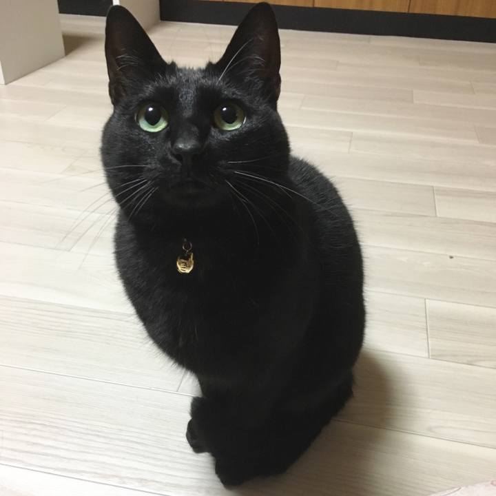 D16a7c27 164d 4619 8038 230eb900d896 1515246978125