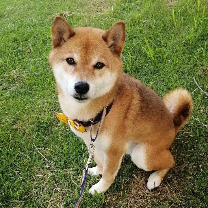 D16a7ec0 b842 485e ab39 5fc9226f4e69 1593384205086