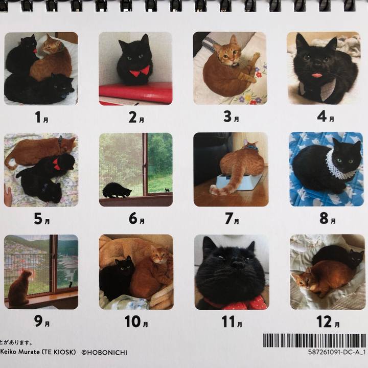 D16a943e c07b 4185 881a e2e379f932bc 1607824802294