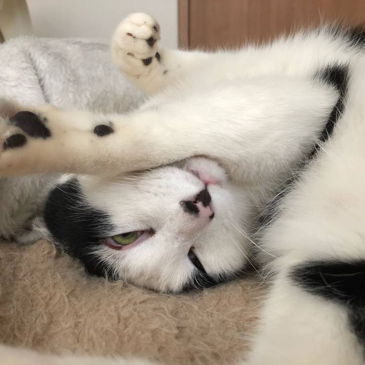 D16aa4bf e1c8 41c4 a2c7 1fb978a3c62f 1551351318187