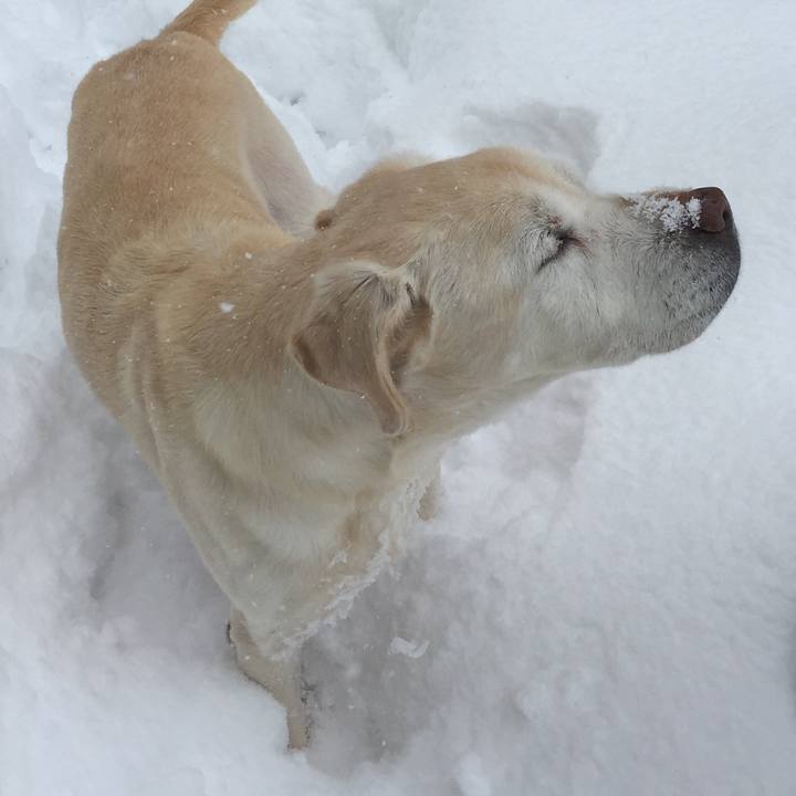 D16aa4fd 4365 4411 9ddb 2af5b056af06 1608895747633