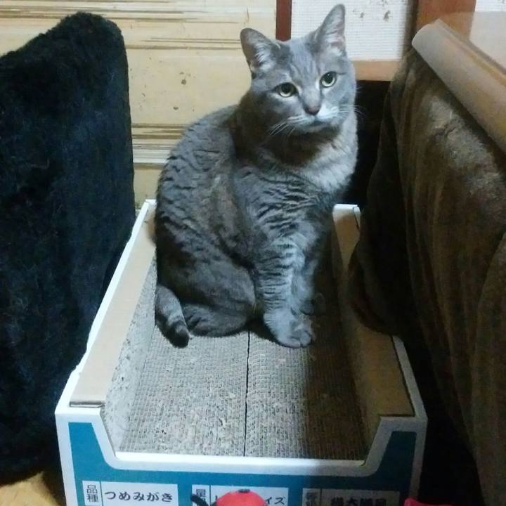 D16aa766 fcdc 4551 bbc8 03d76a8407ae 1524152736756