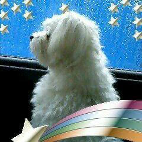 D16b0199 c9e2 4878 9bdb 18a6a82348d5 1570750943519